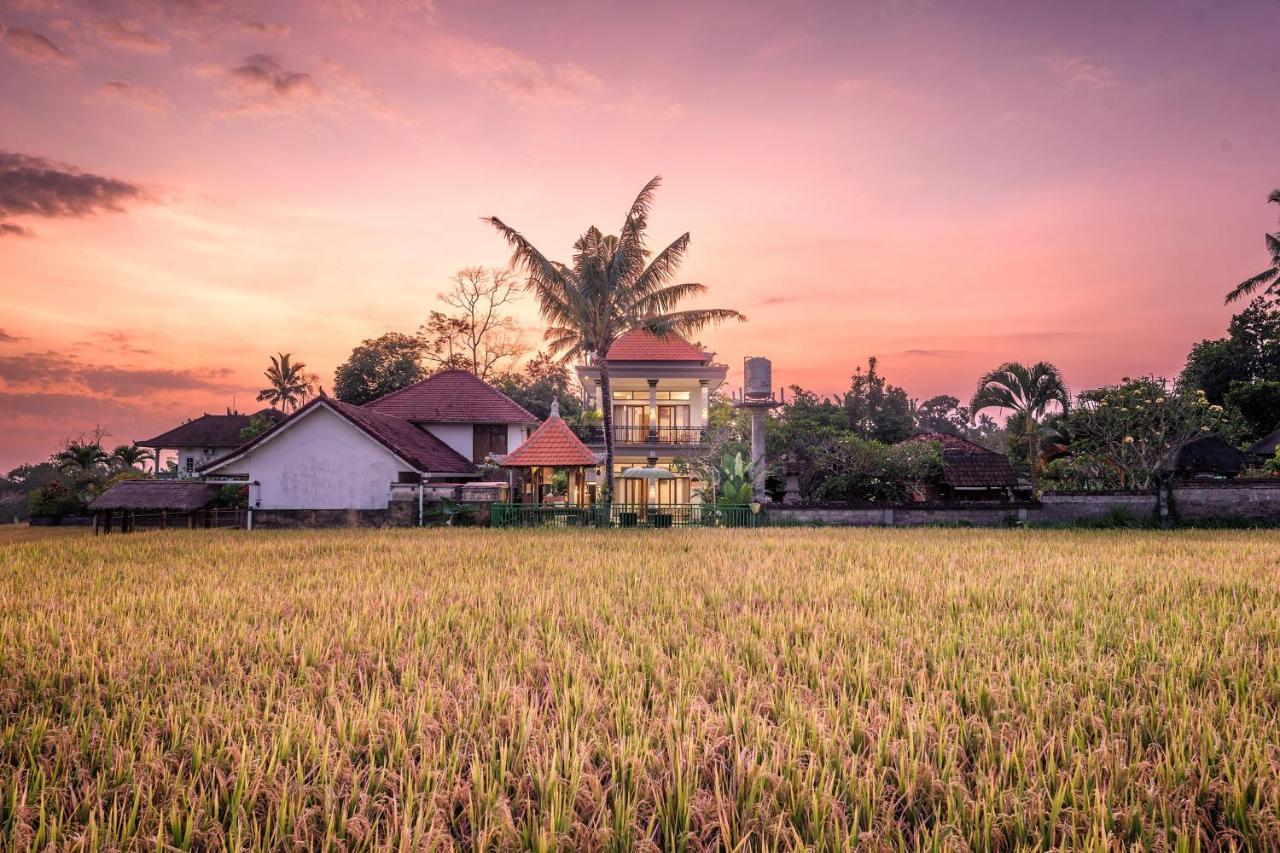 Griya Private Villa ウブド エクステリア 写真